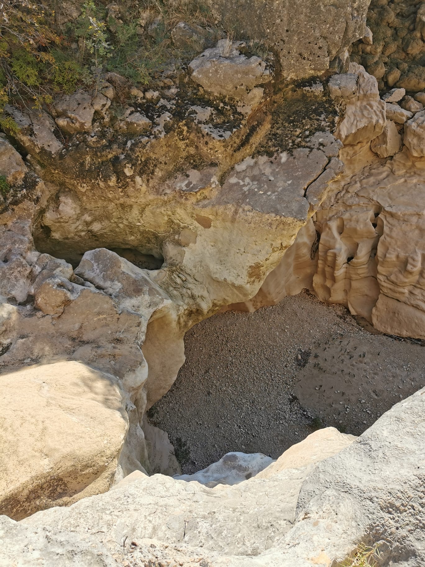 WhatsApp-Image-2021-10-30-at-154129