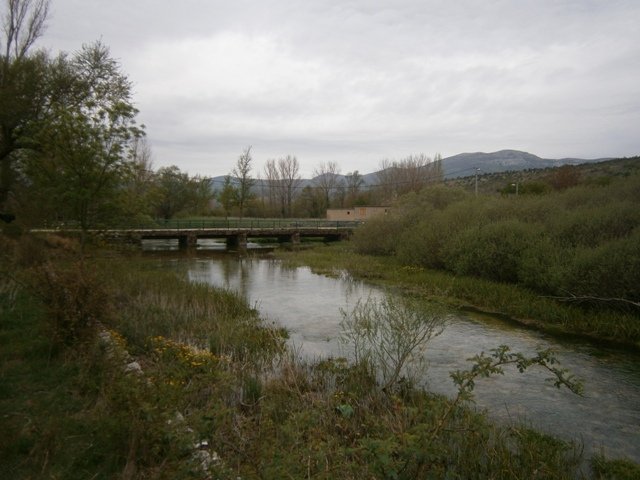 P4262659
