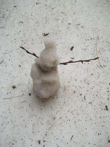 365
