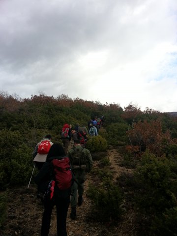 20130310_083248_30