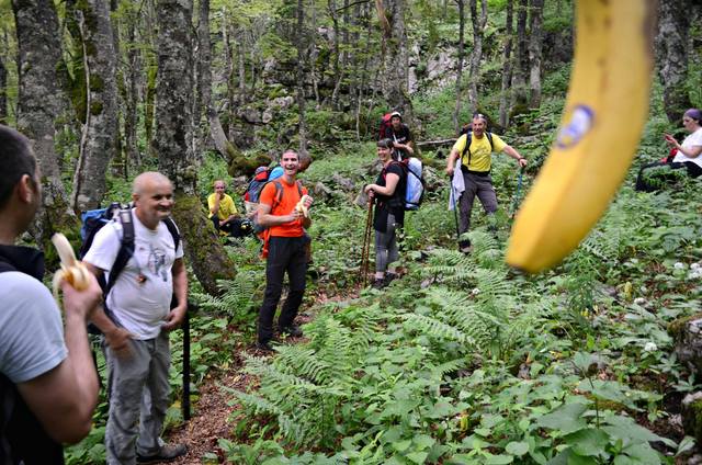 13483076_10208464477042563_3467938834841577248_o