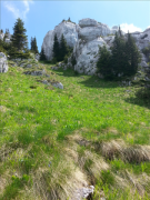 20150531_103128