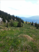 20150531_115453