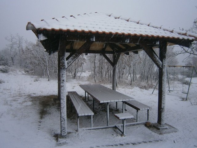 P2012231