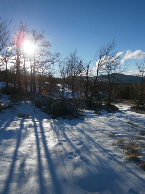 P1062048