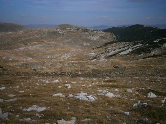 PA121395