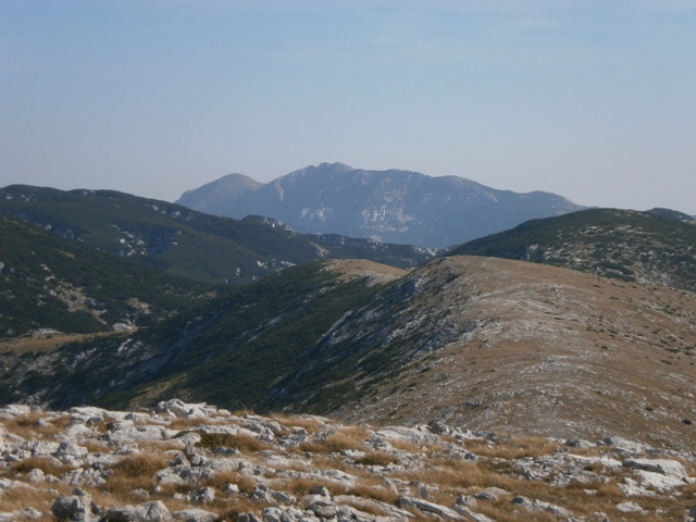 PA121421