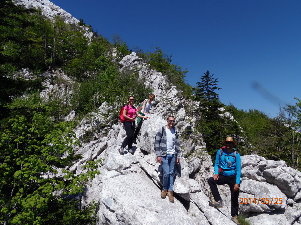 12_1-P5251525