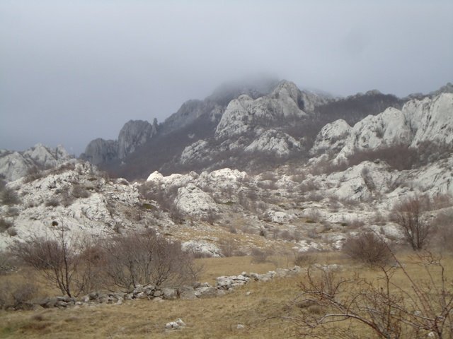 DSC00296