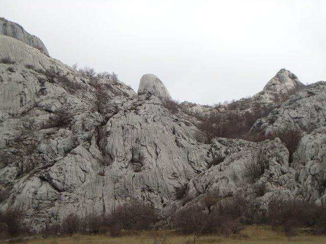 DSC00295