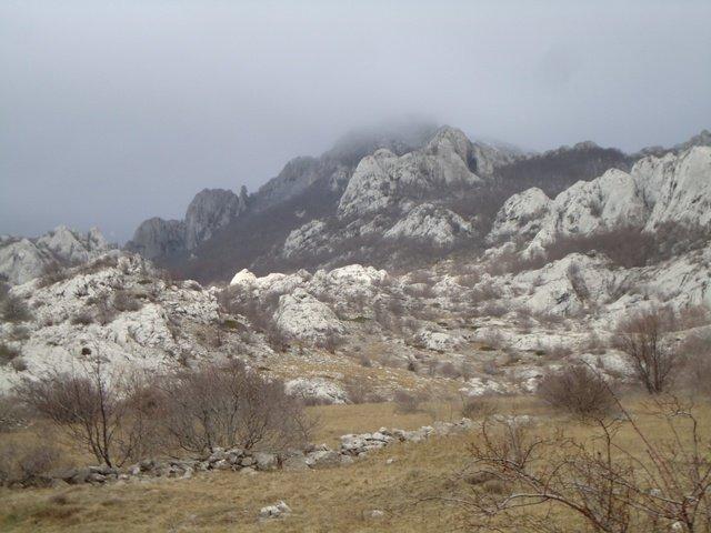 DSC00296