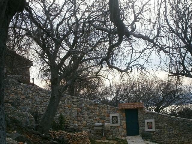 P1260052