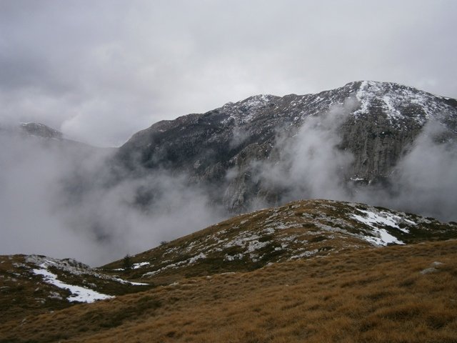 P1060484