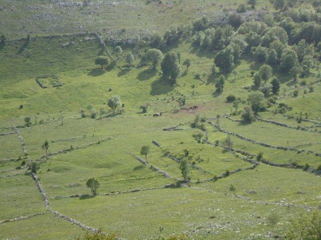 11b