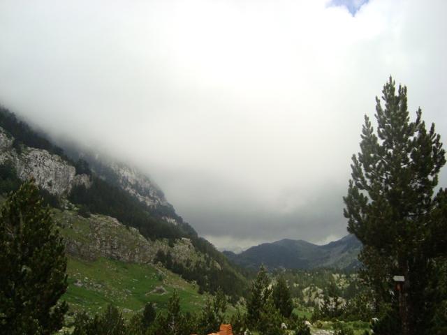 dsc03000