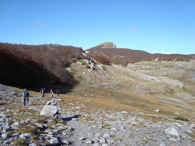 dsc00746