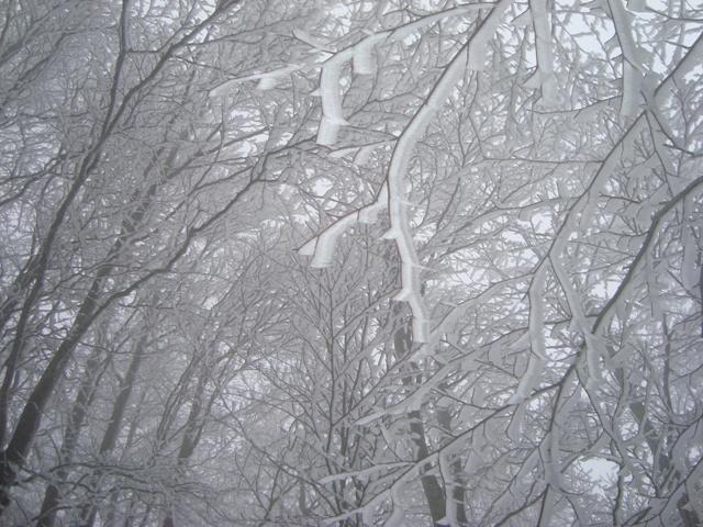 dsc00282