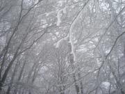 dsc00282
