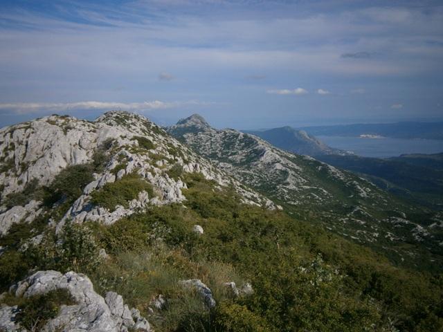 P6202999