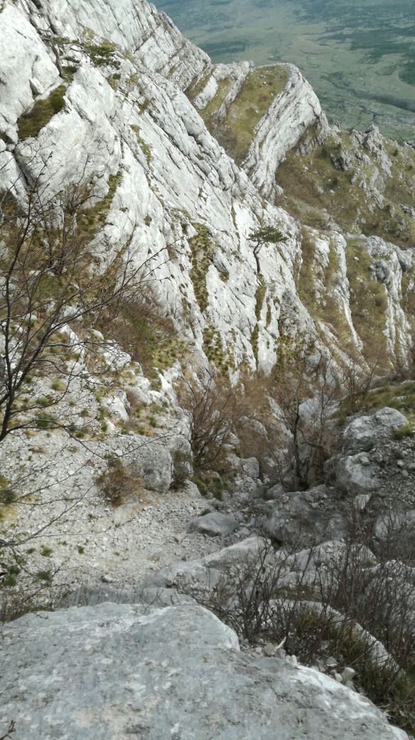 IMG-20170511-WA00061