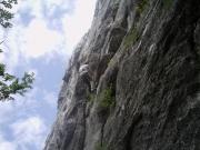imag0085