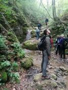 IMG-20220508-WA0162