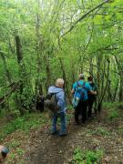 IMG-20220508-WA0195