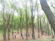 IMG20220507115554