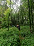 IMG20220507134306