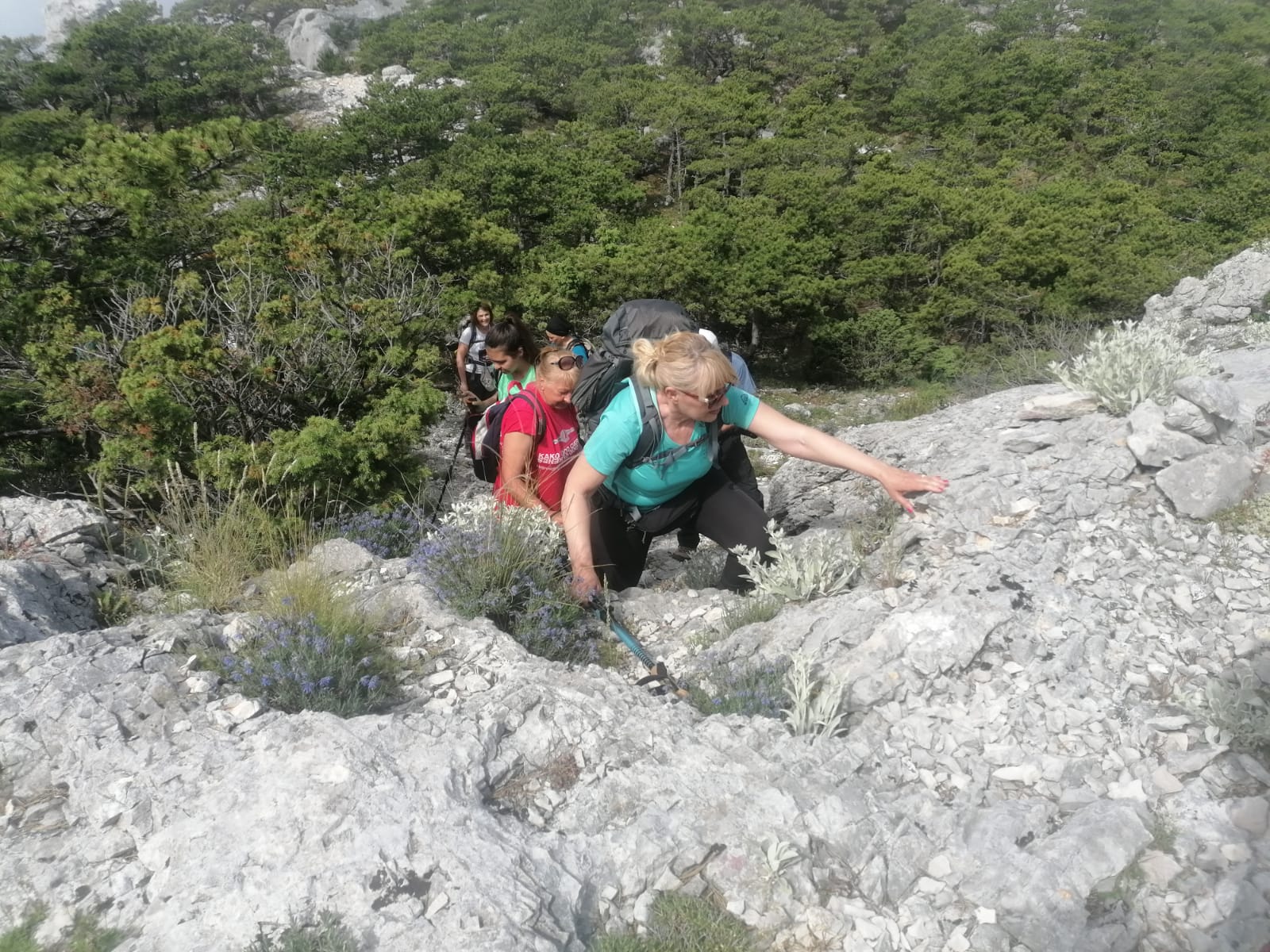 IMG-20230609-WA0132