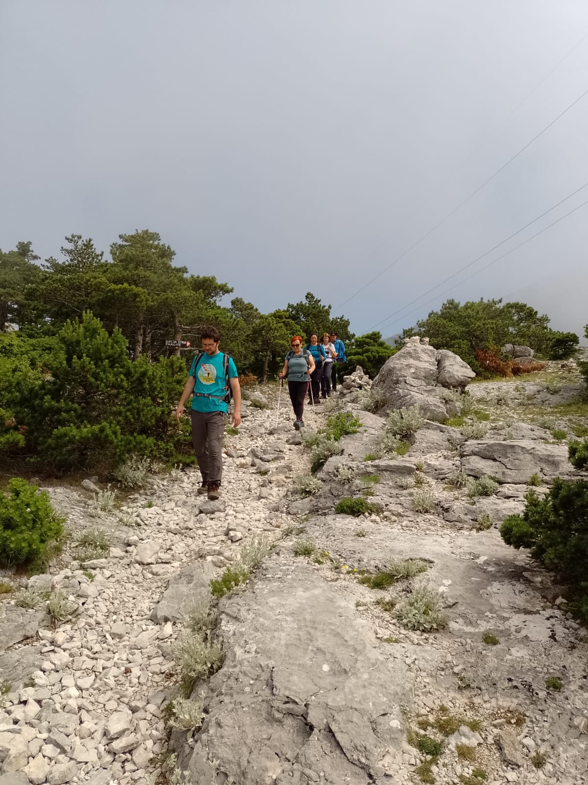 IMG-20230609-WA0340