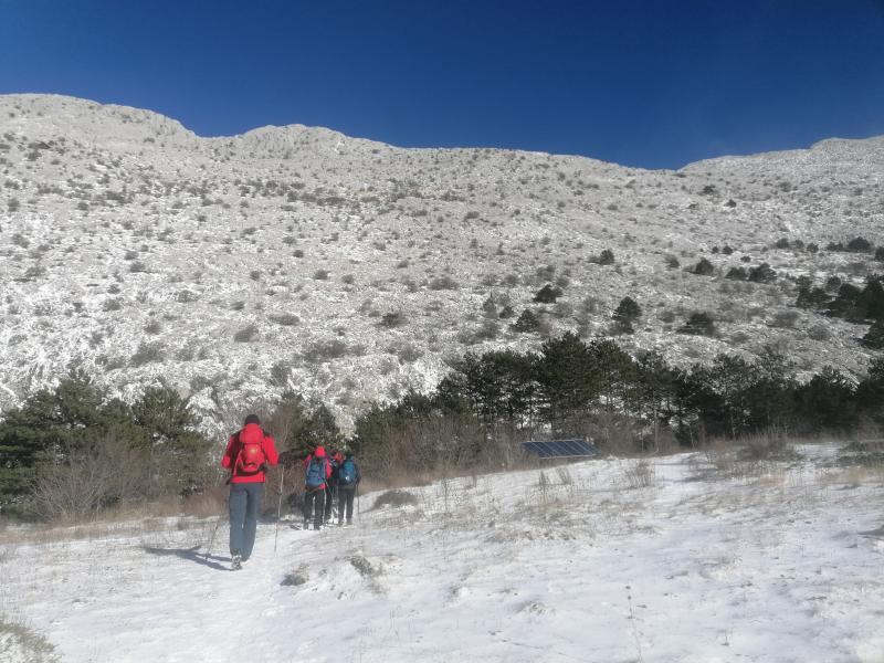 IMG20240120133339