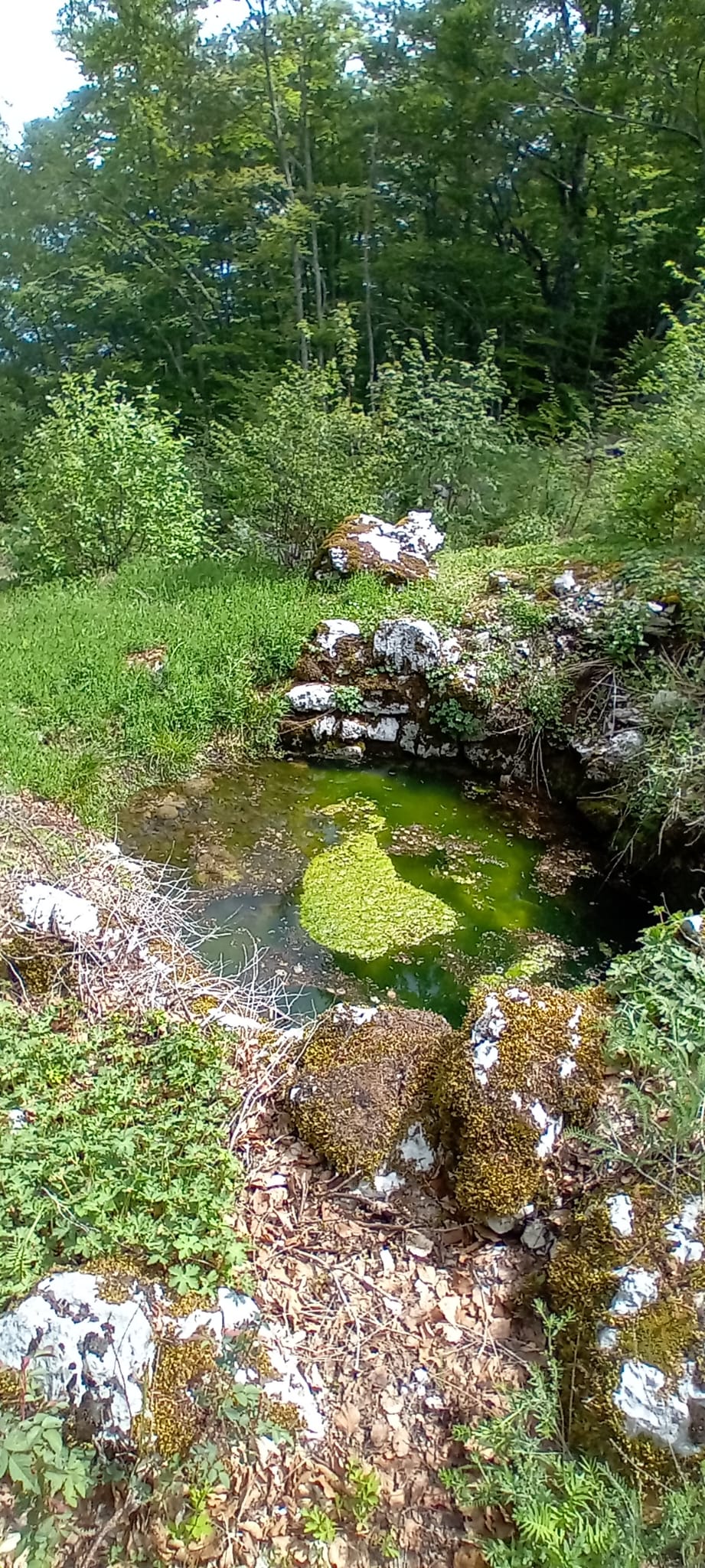 IMG-20240515-WA0020