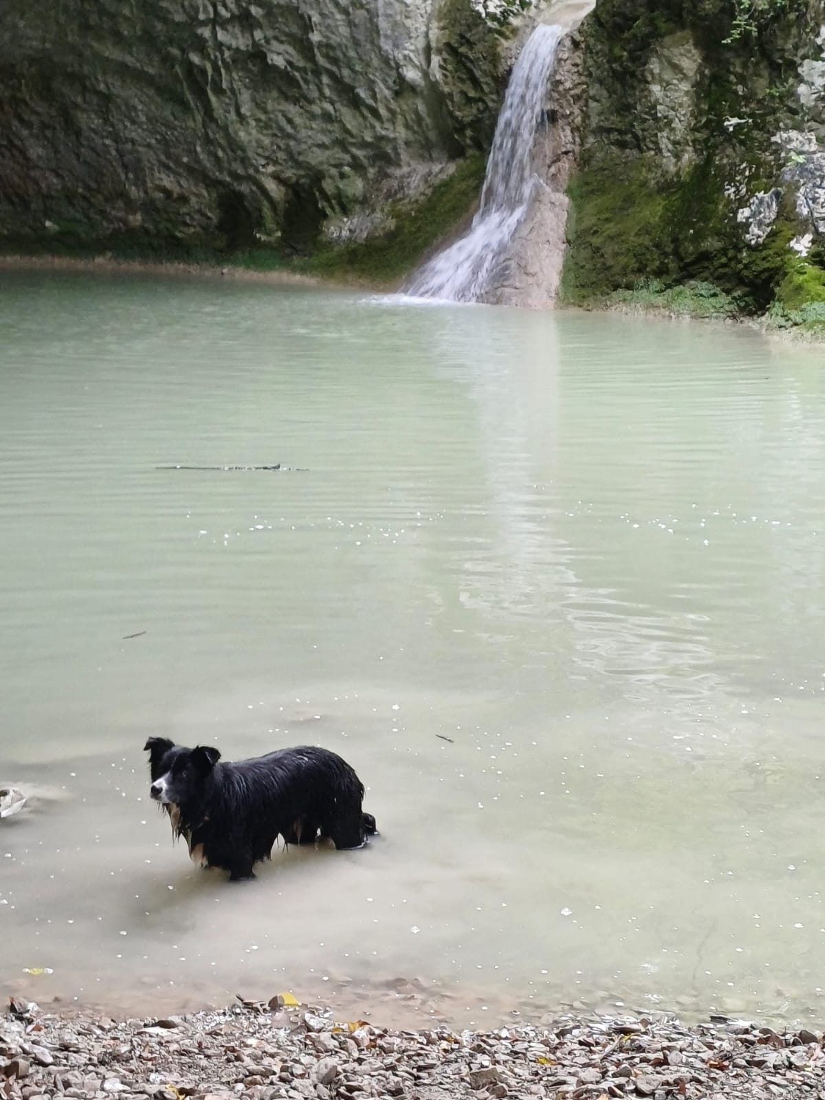 IMG-20240516-WA0019