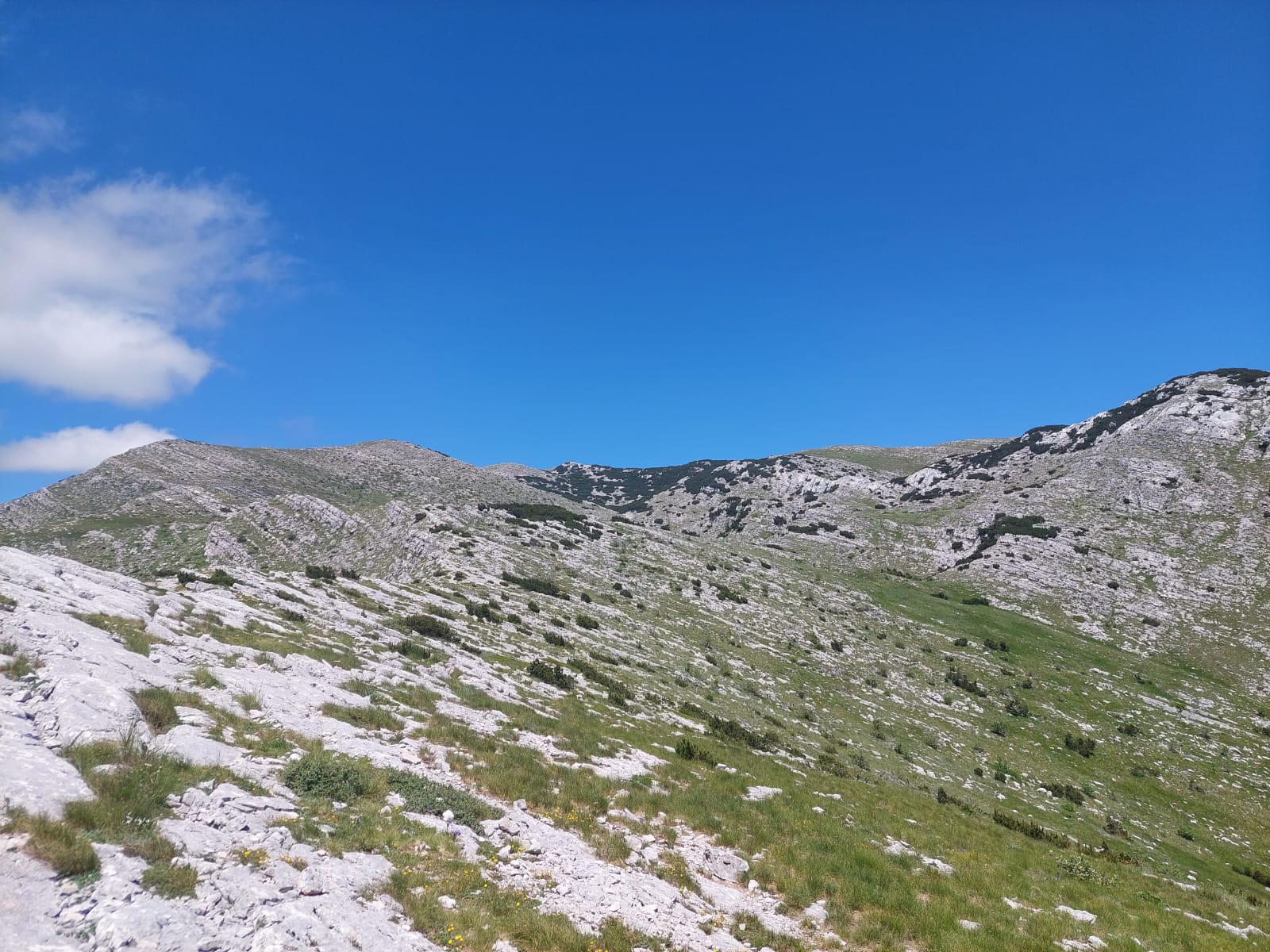 IMG-20240616-WA0012