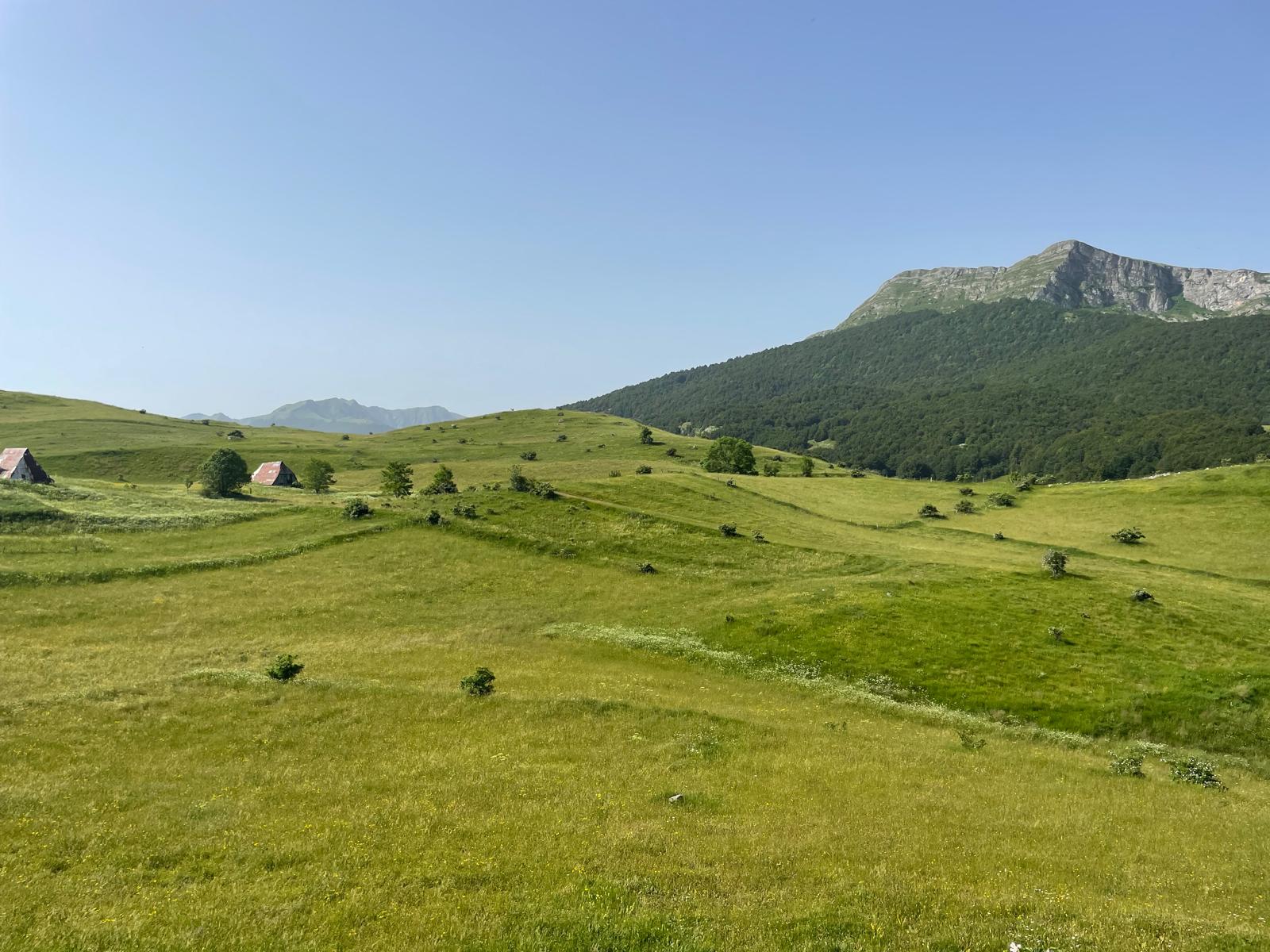 IMG-20240623-WA0152