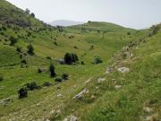 IMG-20240623-WA0057