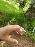 IMG-20240623-WA0118