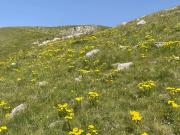 IMG-20240623-WA0157