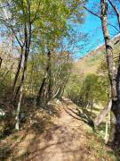 IMG-20241119-WA0003