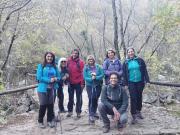 IMG-20241119-WA0004