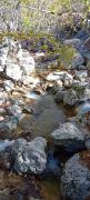 IMG-20241119-WA0006