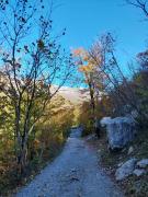 IMG-20241119-WA0014