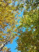 IMG-20241119-WA0016