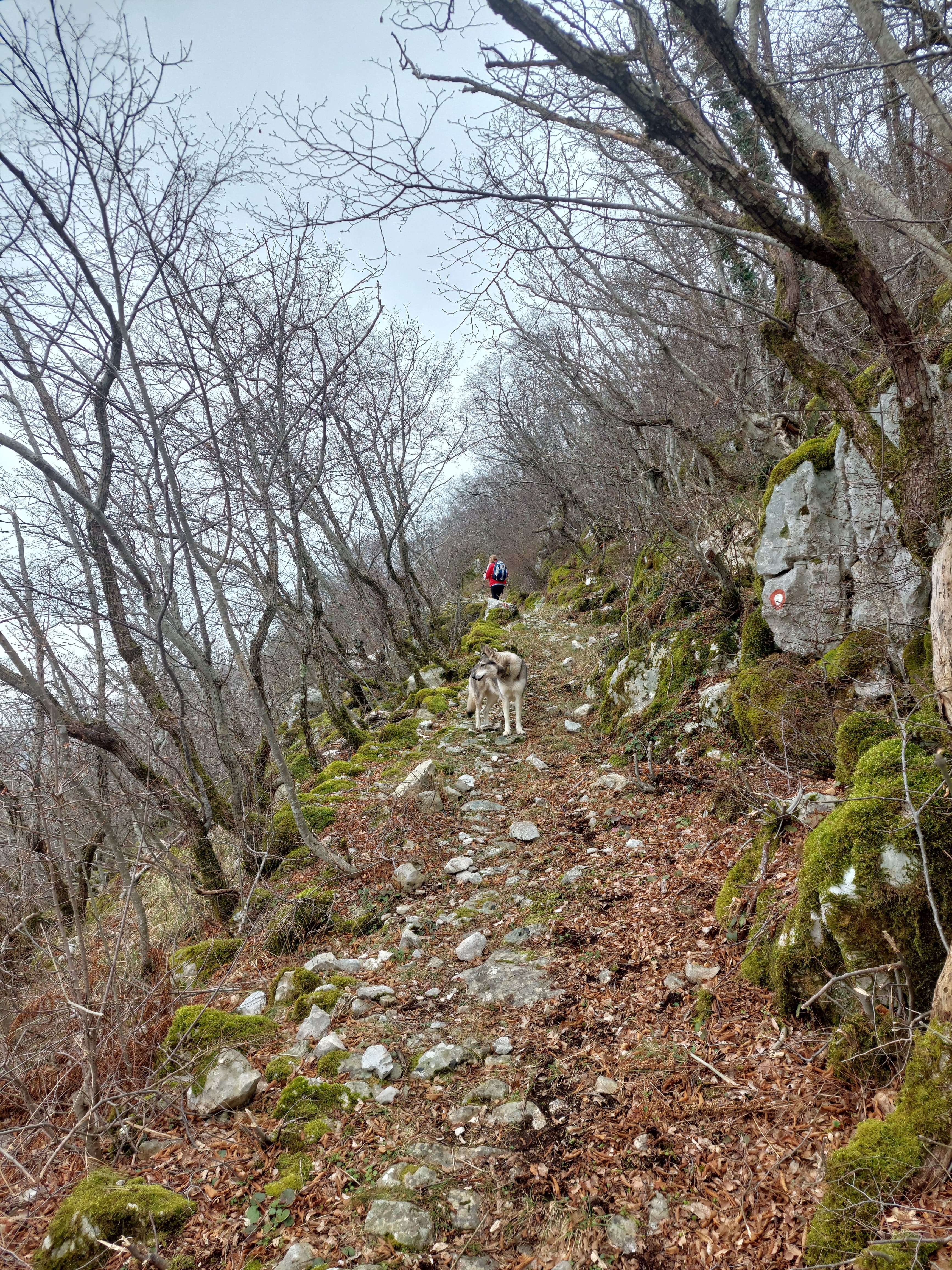 IMG-20250225-WA0002