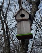 IMG-20250226-WA0002