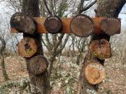 IMG-20250226-WA0003