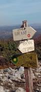 IMG-20250226-WA0006