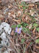 IMG-20250226-WA0011