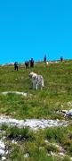 IMG-20250526-WA0009